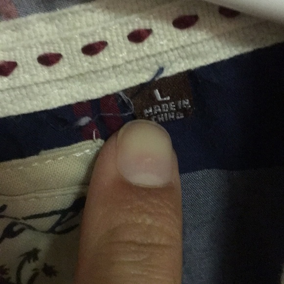 Button Down - Picture 3 of 3